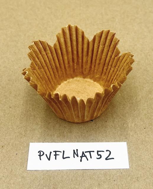 PVFLNAT52-1